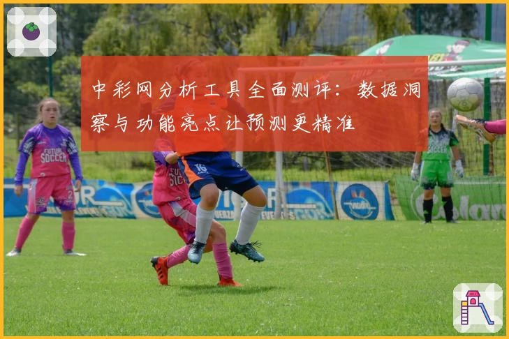 中彩网分析工具全面测评：数据洞察与功能亮点让预测更精准
