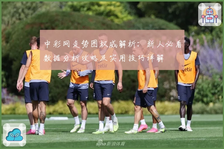 中彩网走势图权威解析：新人必看数据分析攻略及实用技巧详解