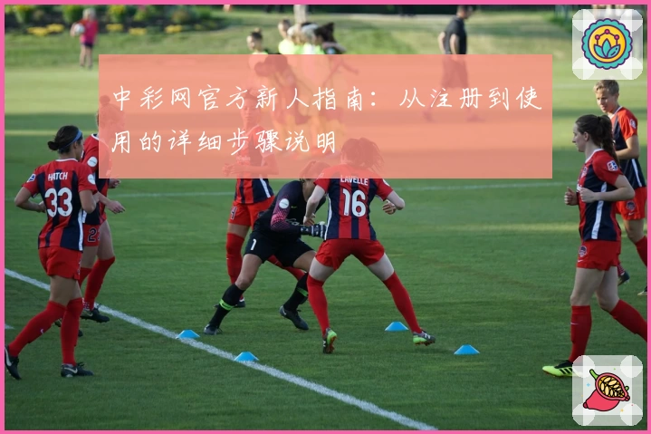 中彩网官方新人指南：从注册到使用的详细步骤说明