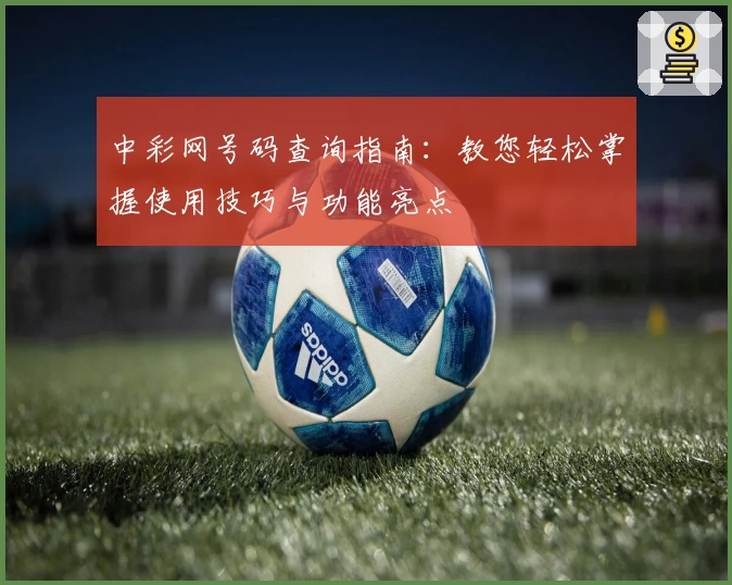 中彩网号码查询指南：教您轻松掌握使用技巧与功能亮点