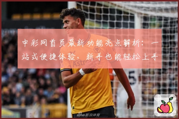 中彩网首页最新功能亮点解析：一站式便捷体验，新手也能轻松上手