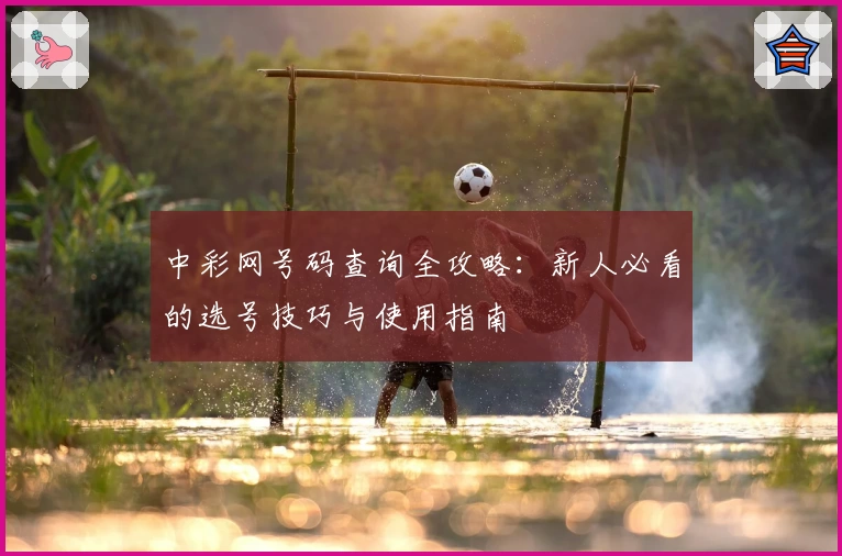 中彩网号码查询全攻略：新人必看的选号技巧与使用指南