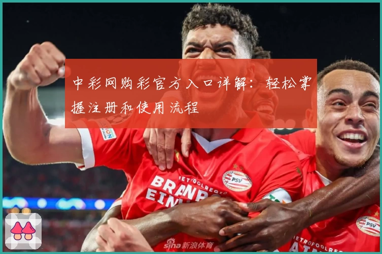 中彩网购彩官方入口详解：轻松掌握注册和使用流程