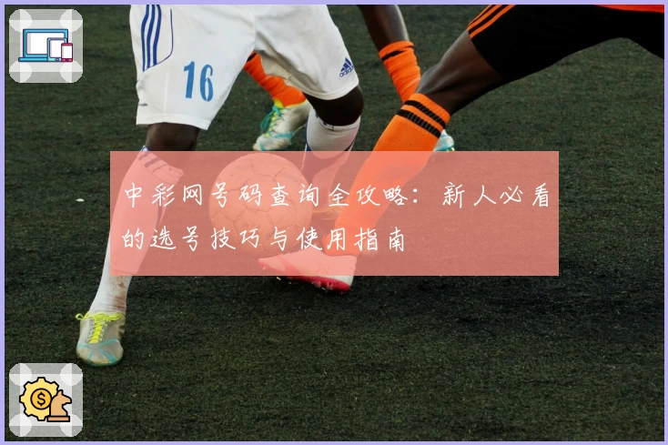 中彩网号码查询全攻略：新人必看的选号技巧与使用指南