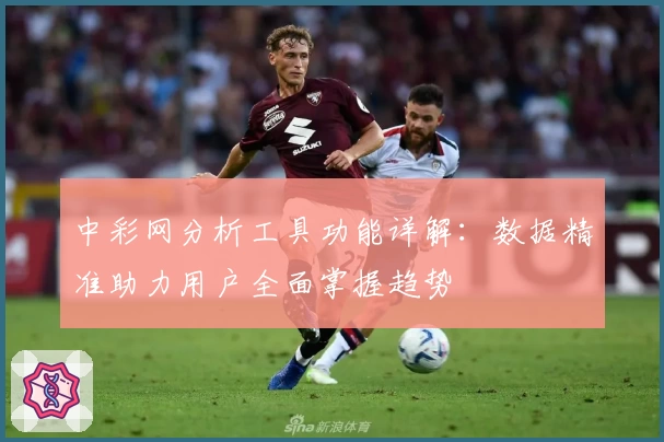 中彩网分析工具功能详解：数据精准助力用户全面掌握趋势